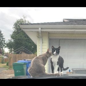 Meet your Posher, Renee